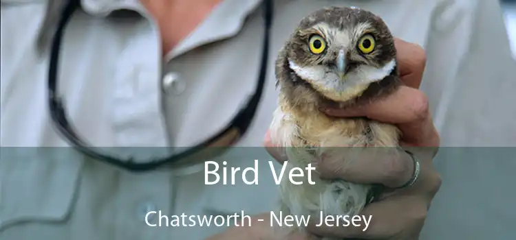 Bird Vet Chatsworth - New Jersey