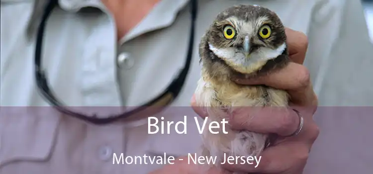 Bird Vet Montvale - New Jersey