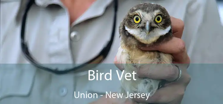 Bird Vet Union - New Jersey