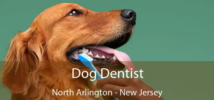 Dog Dentist North Arlington - New Jersey