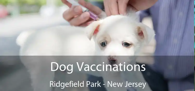 Dog Vaccinations Ridgefield Park - New Jersey