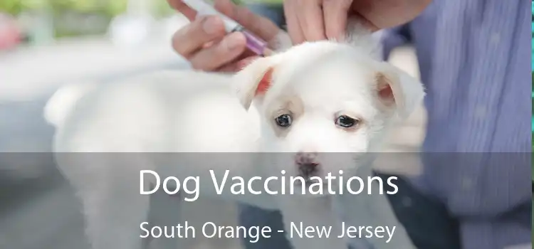 Dog Vaccinations South Orange - New Jersey