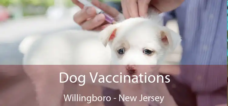 Dog Vaccinations Willingboro - New Jersey