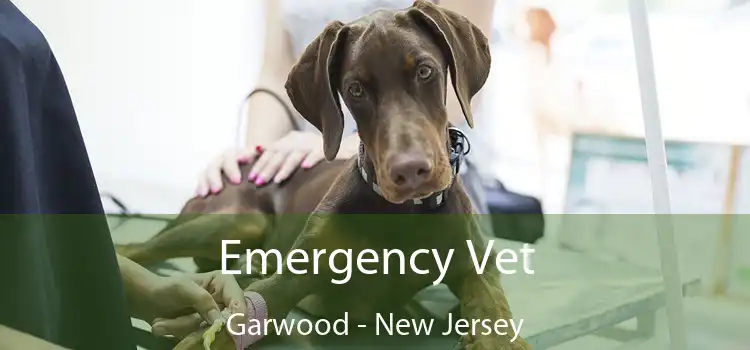 Emergency Vet Garwood - New Jersey