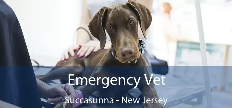 Emergency Vet Succasunna - New Jersey