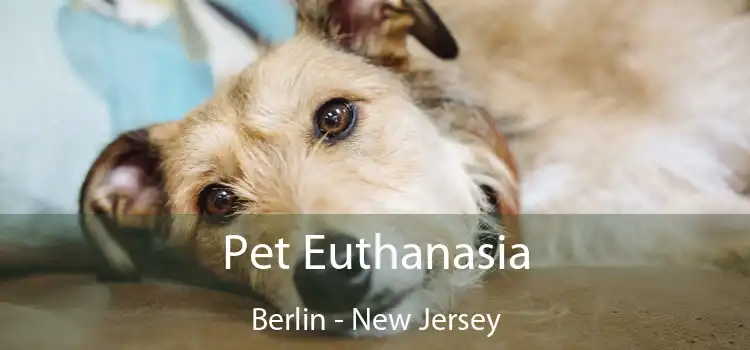 Pet Euthanasia Berlin - New Jersey