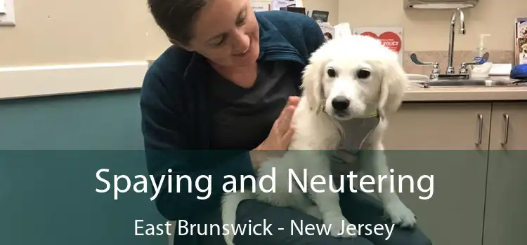 Spaying and Neutering East Brunswick - New Jersey