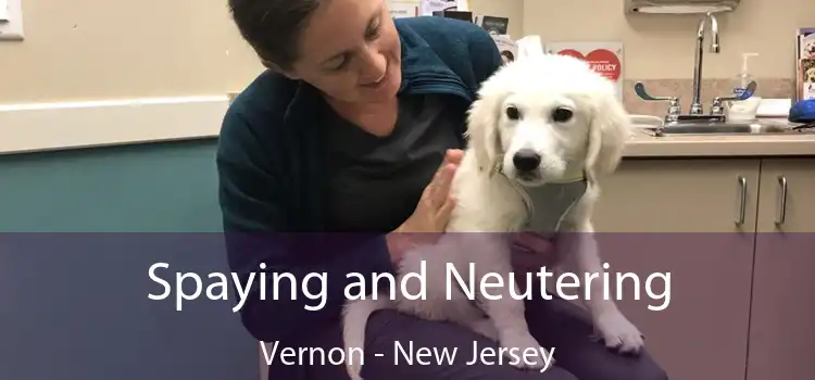 Spaying and Neutering Vernon - New Jersey